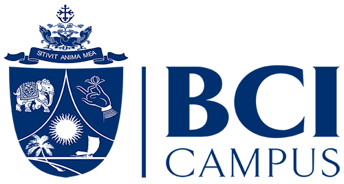 Website Logo